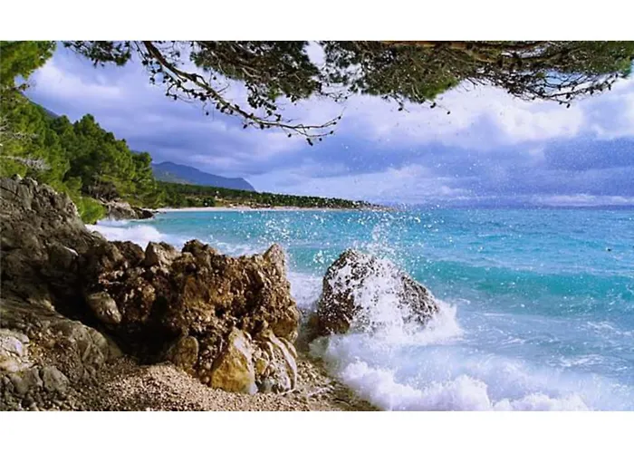 Elda Μακάρσκα